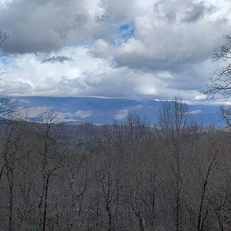 ブライソン・シティ Cozy Cabin With Hot Tub And Smoky Mountain Views!ヴィラ エクステリア 写真