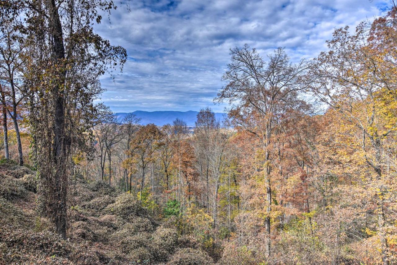 ブライソン・シティ Cozy Cabin With Hot Tub And Smoky Mountain Views!ヴィラ エクステリア 写真